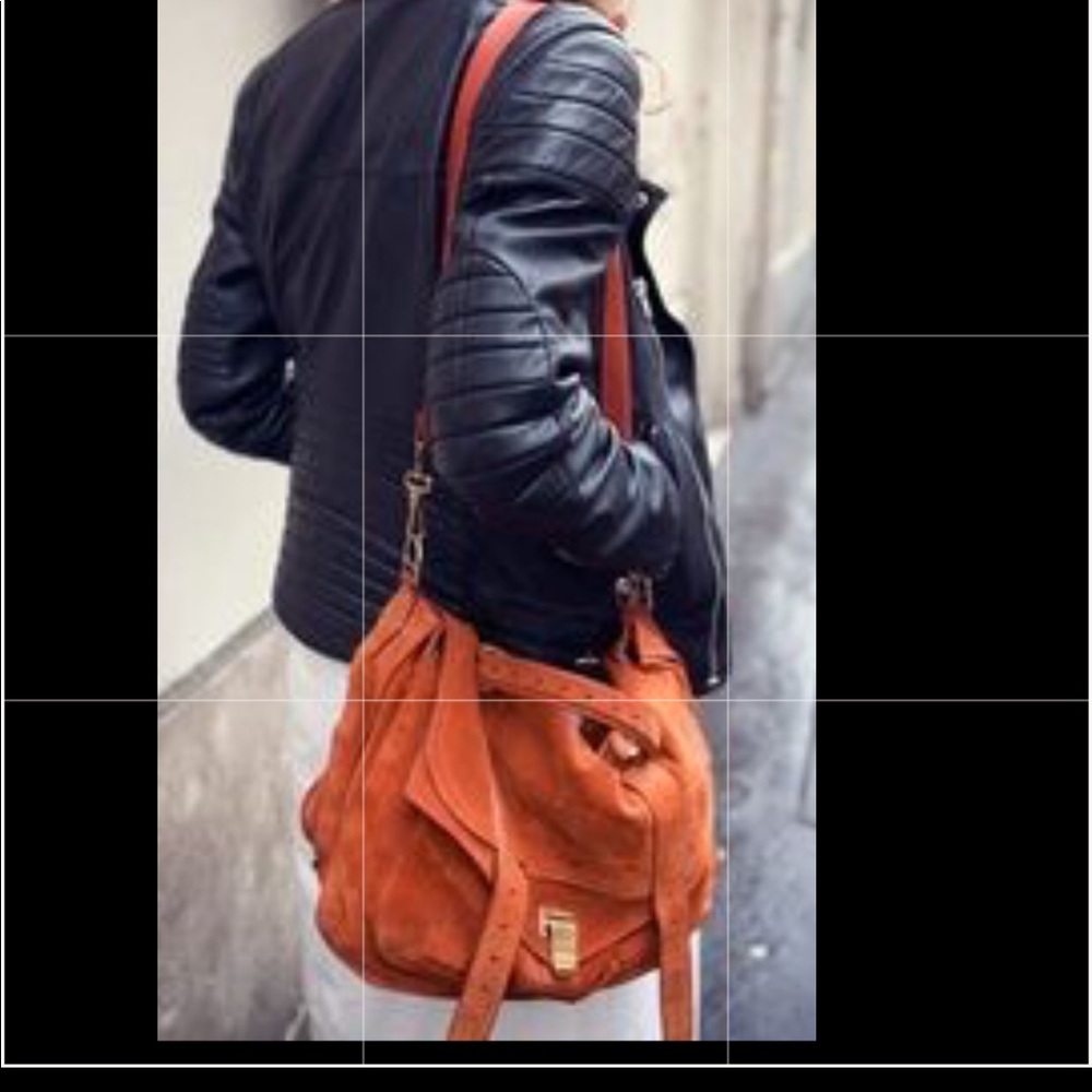 Orange rust Suede bag